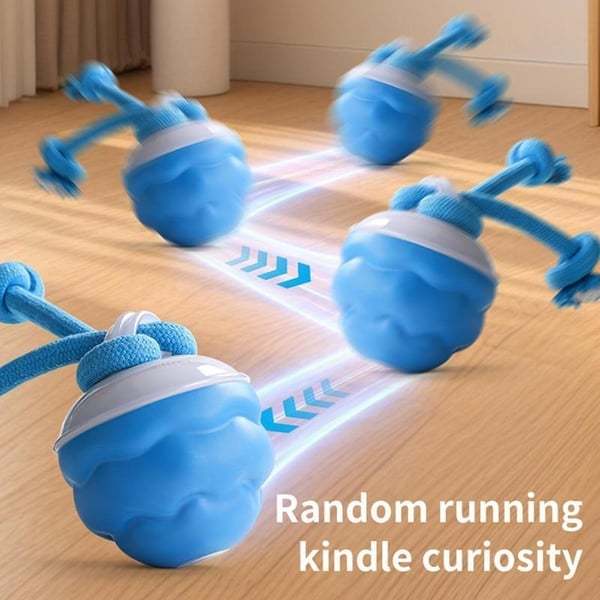 🏆Flash Sale 50% OFF🔥Interactive Smart Rolling Pet Ball