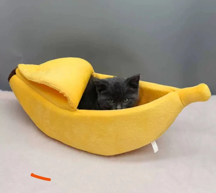 Banana Bed – Cozy & Fun for Your Pets