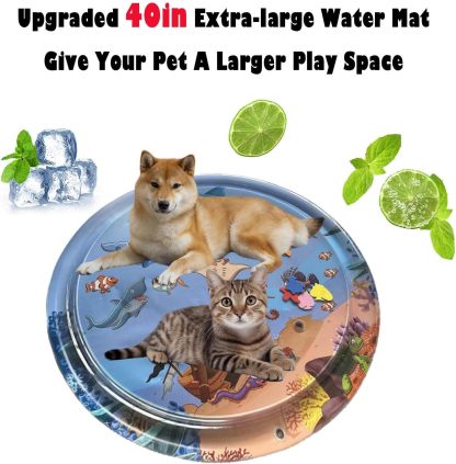 Ocean Breeze Splashland