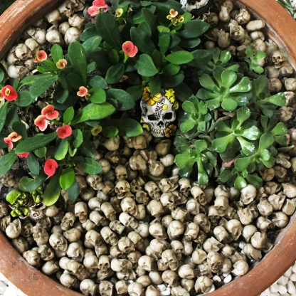 💀 Halloween Sale - 50% OFF 🔥 Flowerpot Mini Skull Set(20 PCS)