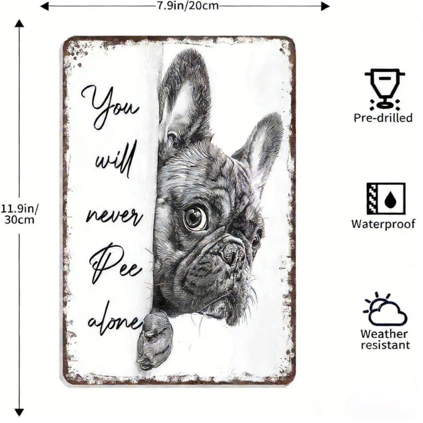 🏆New Year 50% OFF - 🐱Vintage Black & White Cat Wall Art