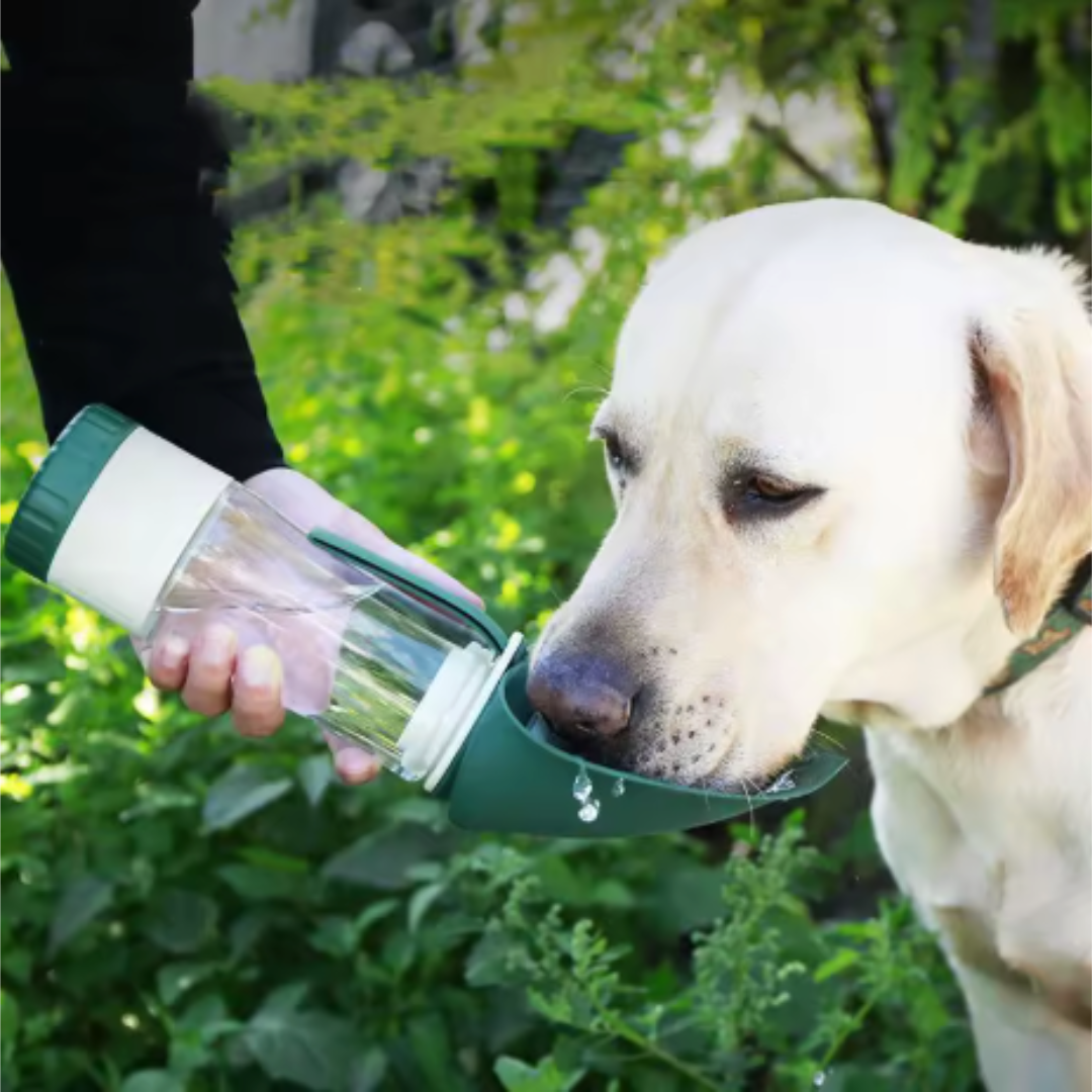 2-in-1 Portable Dog Water Bottle & Food Bowl