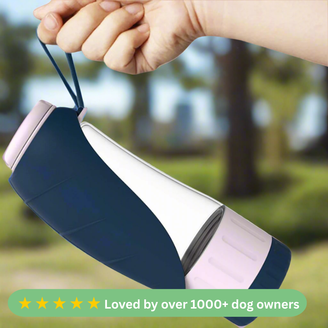 2-in-1 Portable Dog Water Bottle & Food Bowl