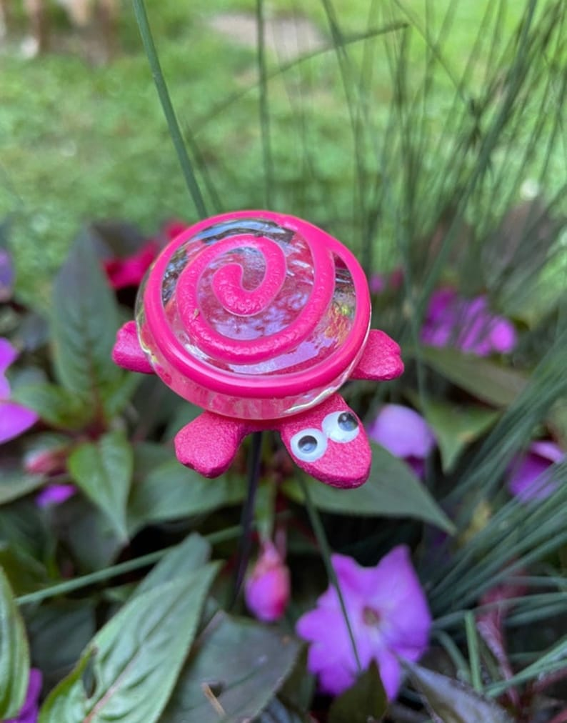 Turtle-shaped indoor plants