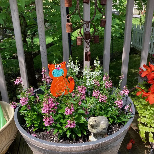 Orange Cat Garden Post