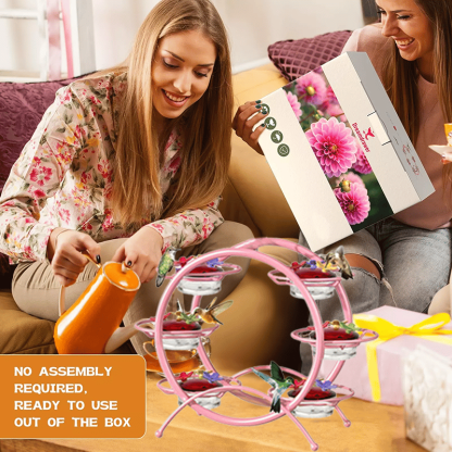 💖Spring Sale 50% OFF ✨Hummingbird Feeder