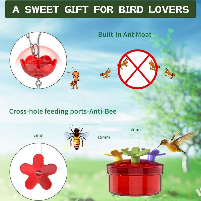 💖Spring Sale 50% OFF ✨Hummingbird Feeder