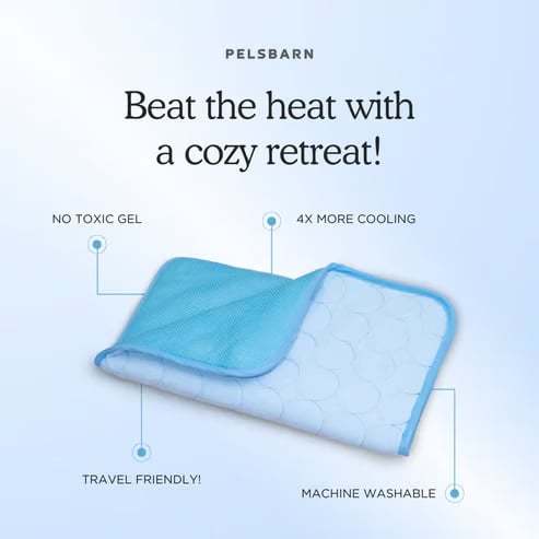 🔥Hot Sale 49% OFF 🧊Dog Cooling Mat (4x more effective)