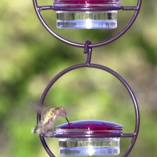 🎉Slim Hummingbird Feeder