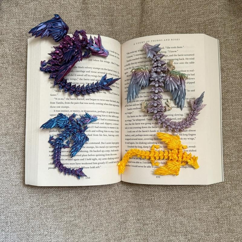 🔥LAST DAY 50% OFF - Date with a Book and Dragon🎁BUY 2 GET 1 FREE