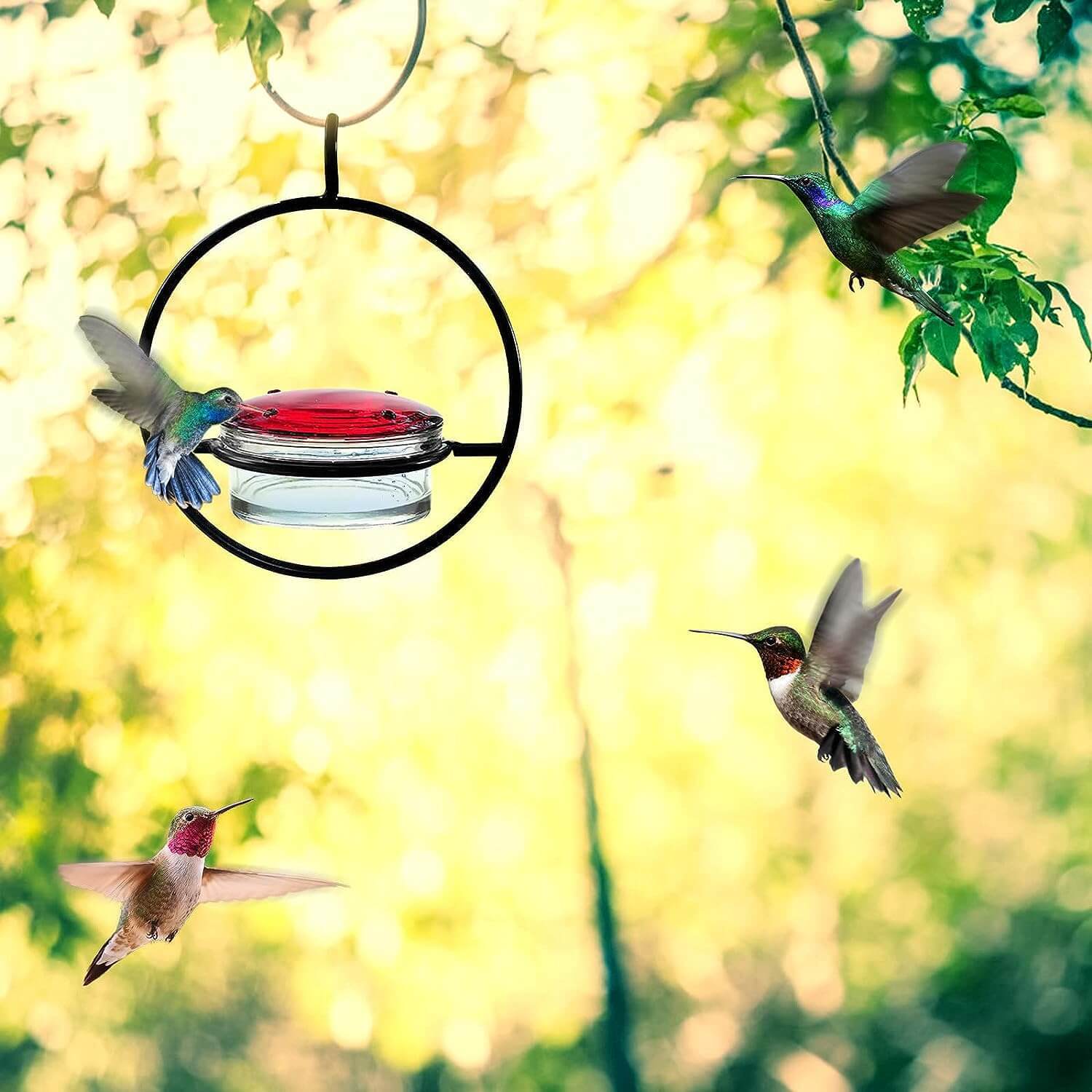 🎉Slim Hummingbird Feeder