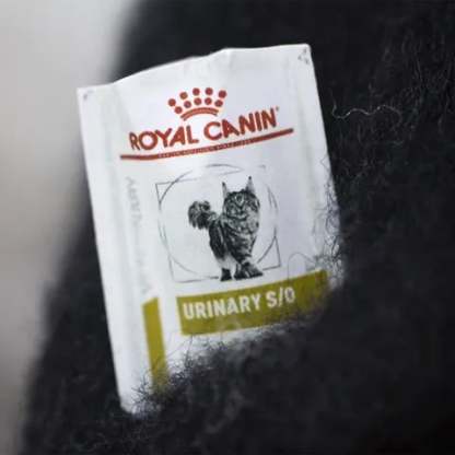 🎄✨Wool Felt Familiars – Quirky Handmade Companions