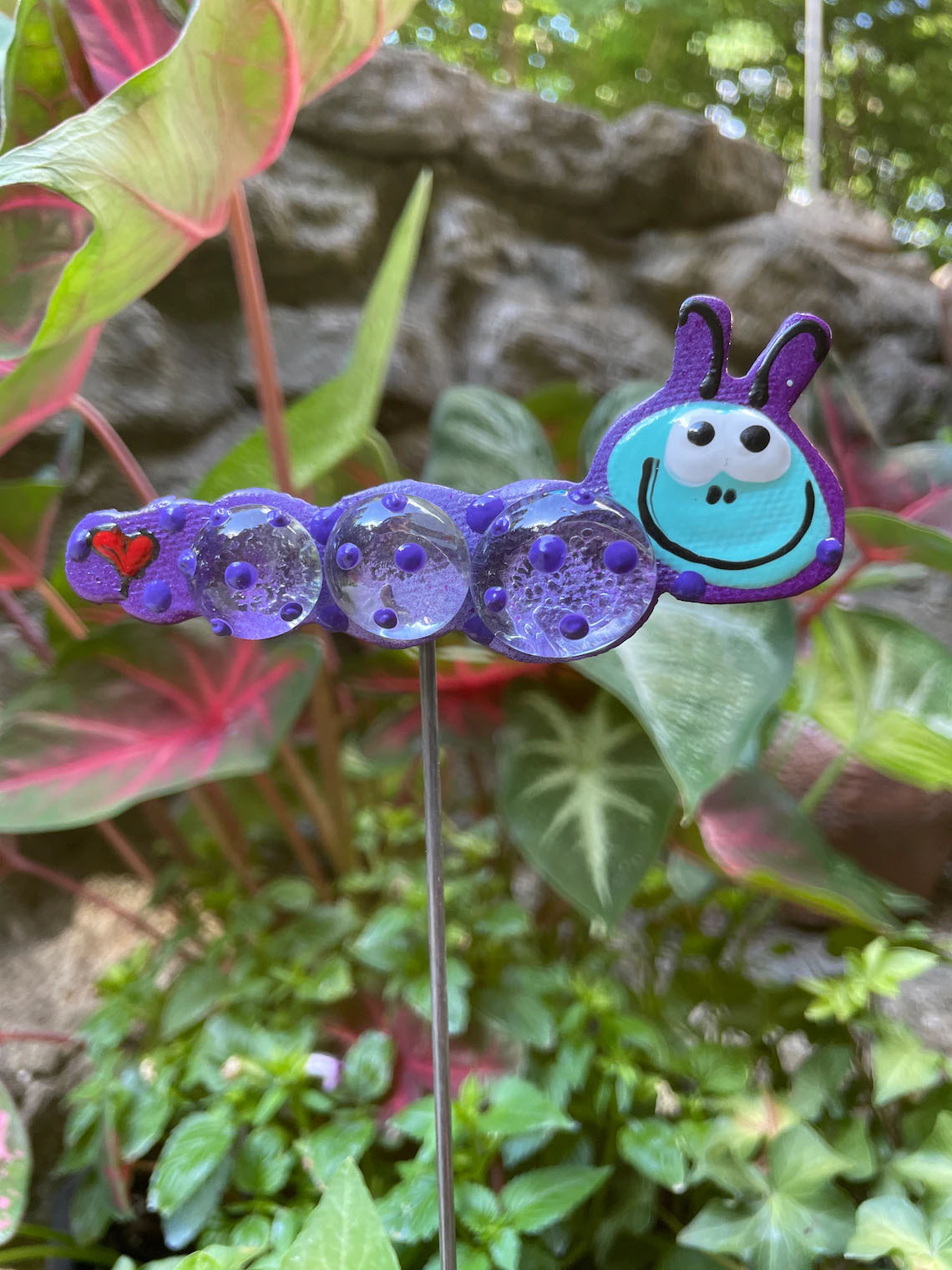 Purple Caterpillar Plant