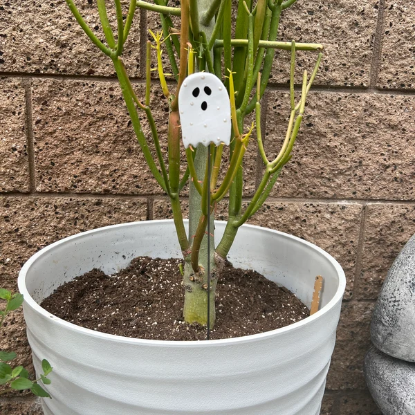 Halloween decorations, potted plant decorations