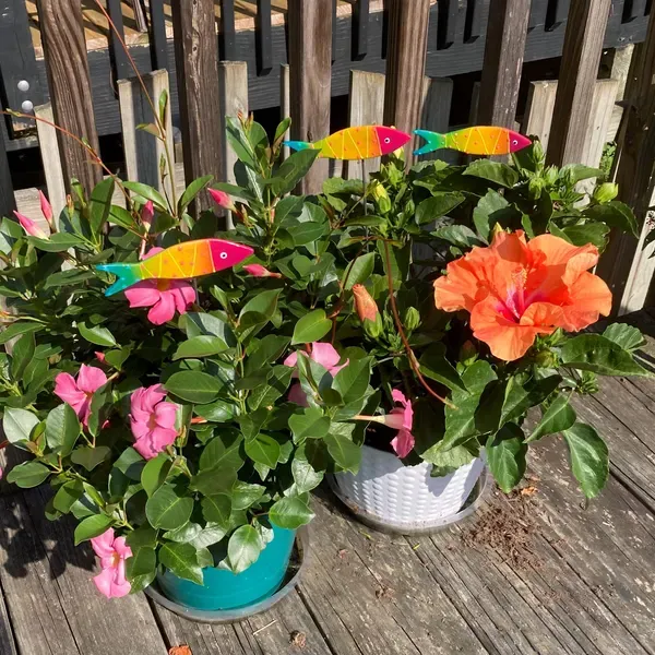 Rainbow Fish Mino Garden Post