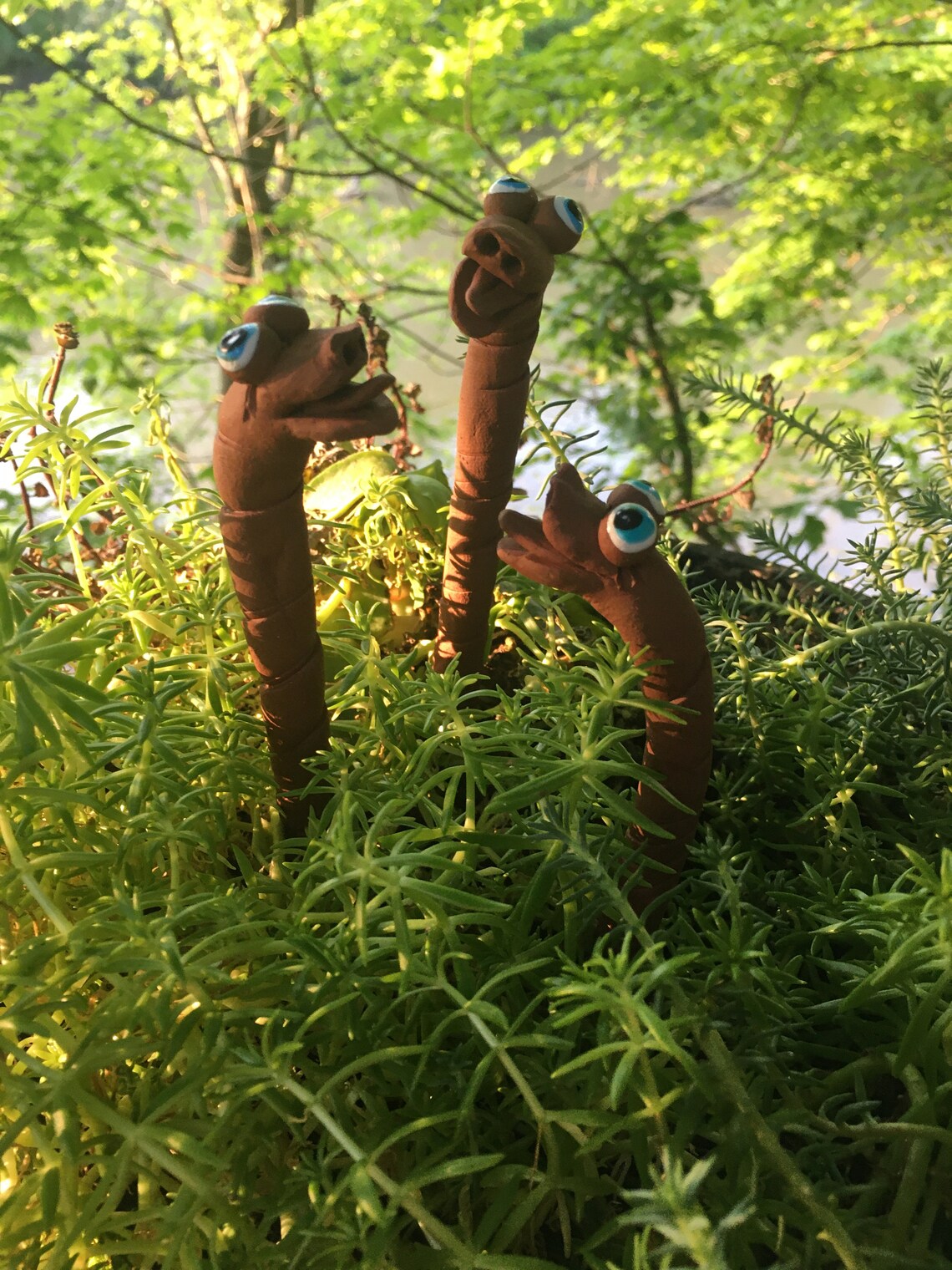 Three ceramic insect potted plant decorations as gifts