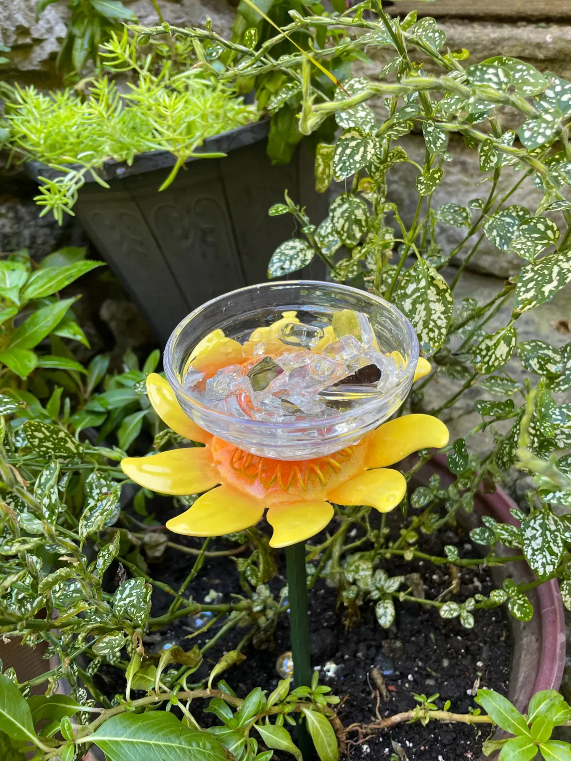 Insect drinking cup, glass flower vase, garden sculpture