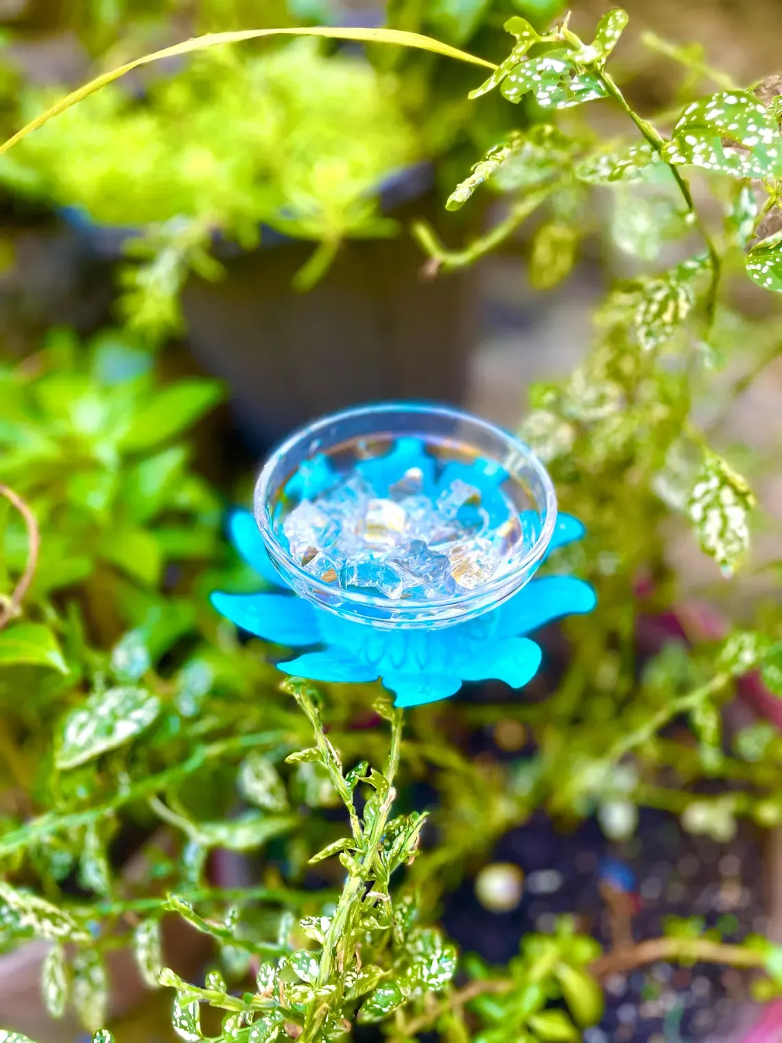 Insect drinking cup, glass flower vase, garden sculpture