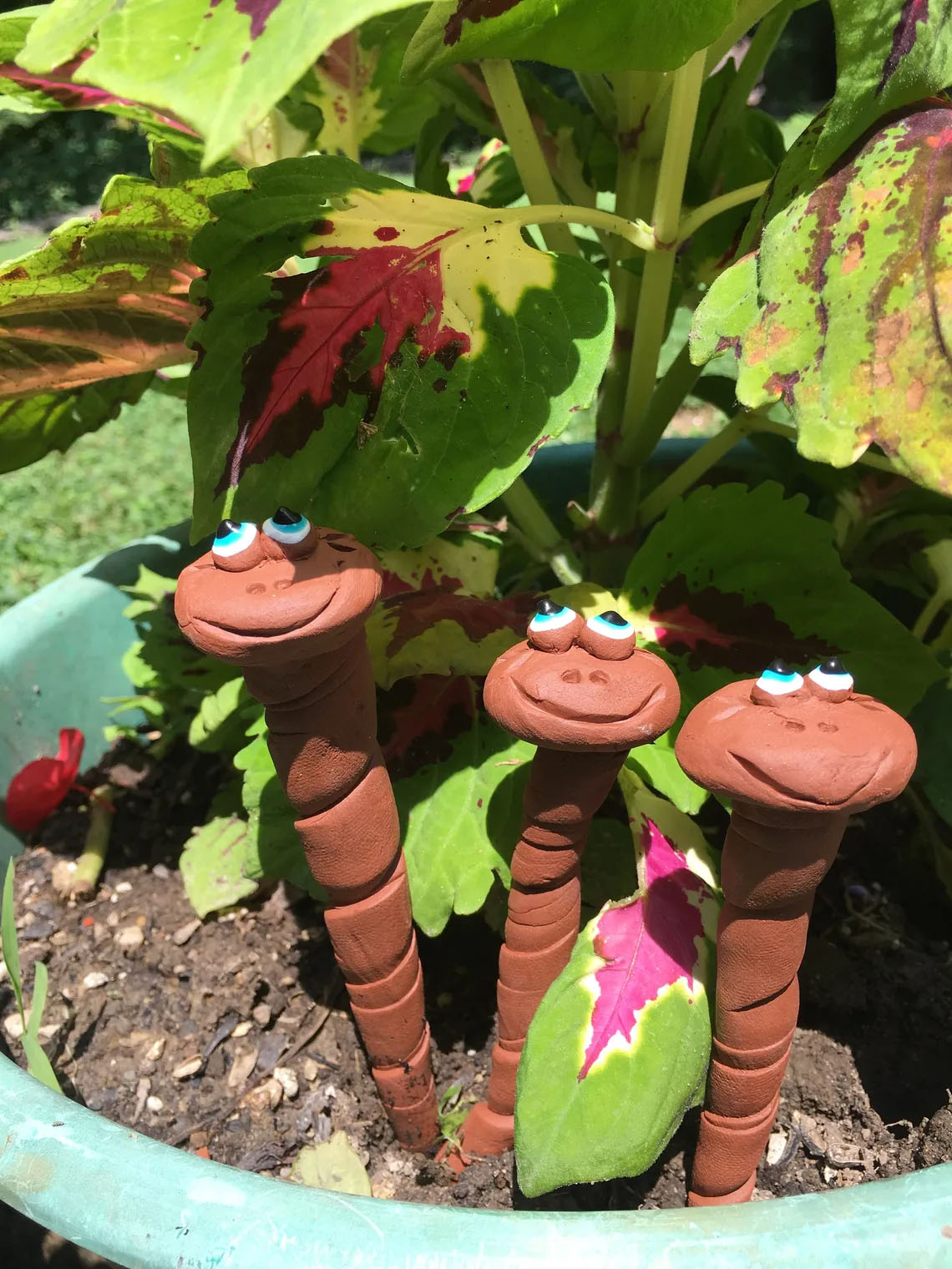 Three Giant Garden Worms