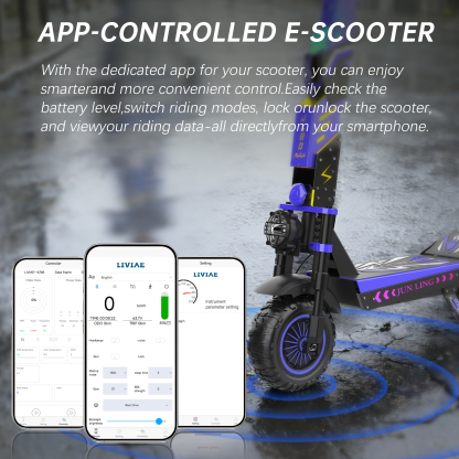 Reddydy JL80 Off-Road Electric Scooter 6000W Dual Motor Up to 50 miles of range 12-Inch Tires