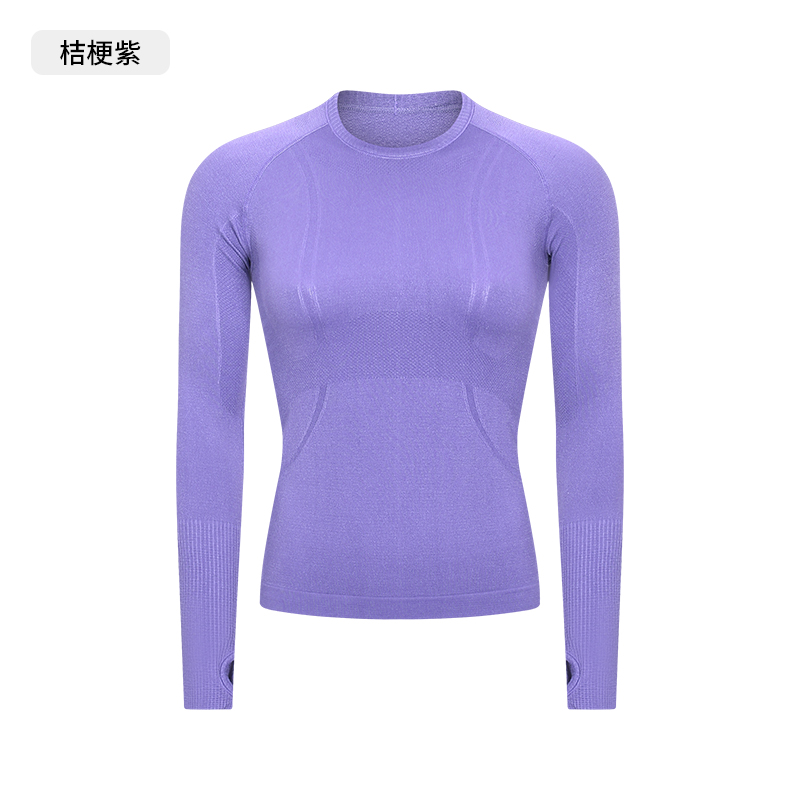 Women's Seamless Long - Sleeve Yoga Top, Crew Neck Athletic Workout Shirt