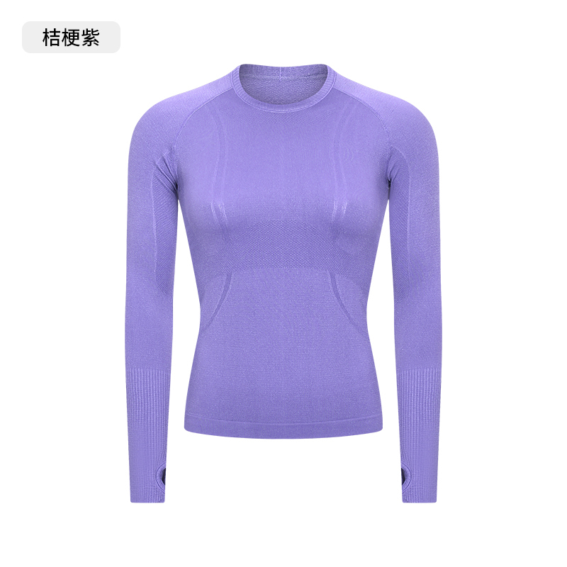 Women's Seamless Long - Sleeve Yoga Top, Crew Neck Athletic Workout Shirt