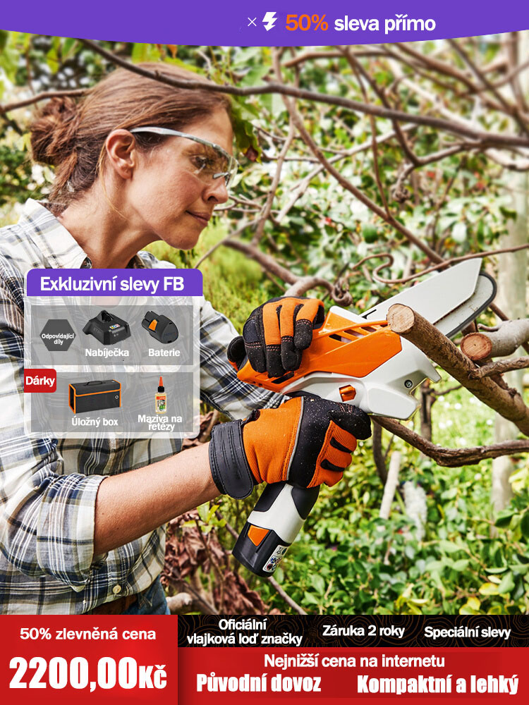 Německá malá ruční lithiová řetězová pila pro domácnost, prořezávání zahrady, prořezávání zahrady, dobíjecí elektrická pila
