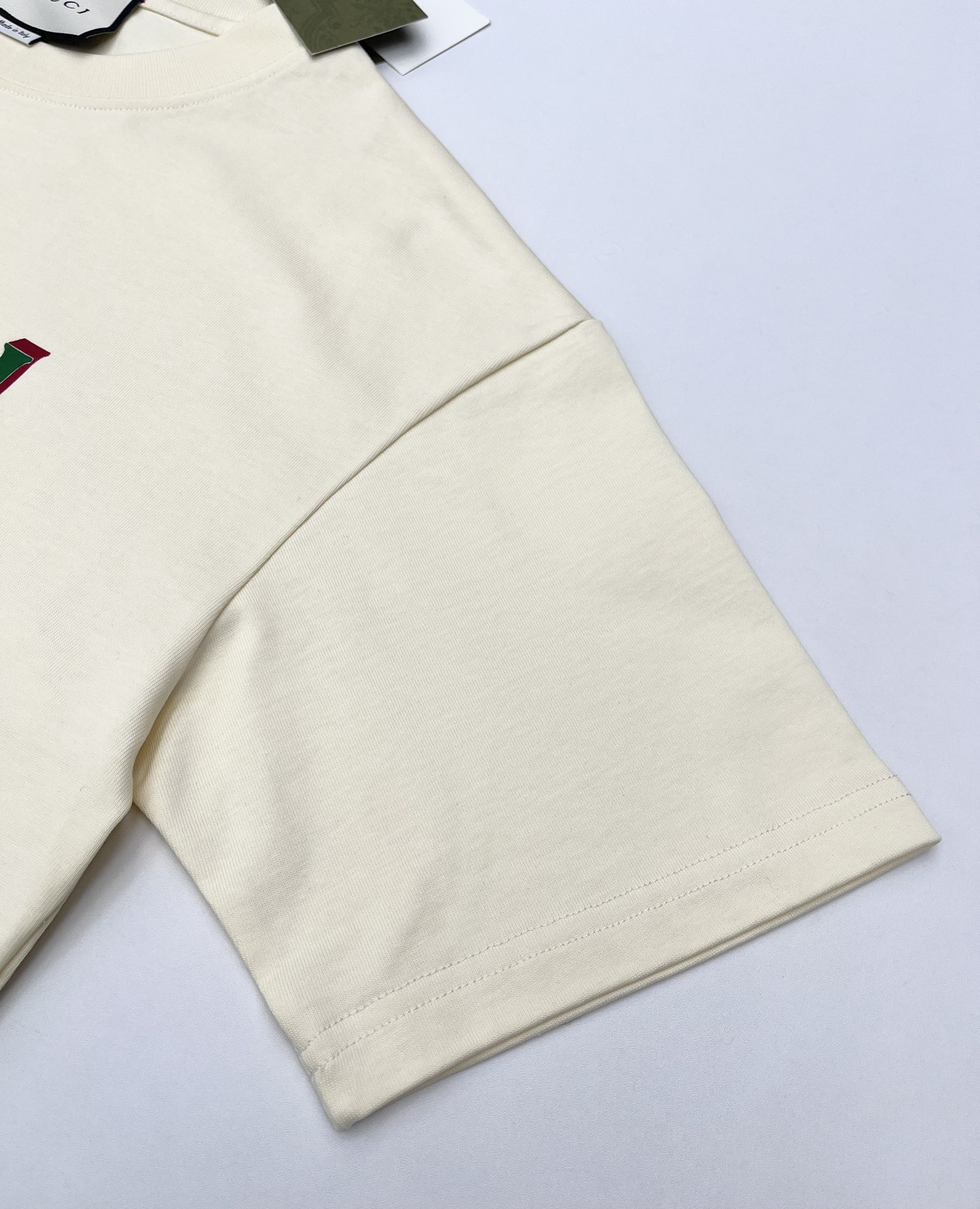 GG 25SS Color blocked large logo printed T-shirt