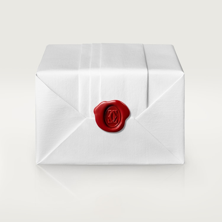 CA012 SANTOS DE CARTIER WATCH WSSA0039