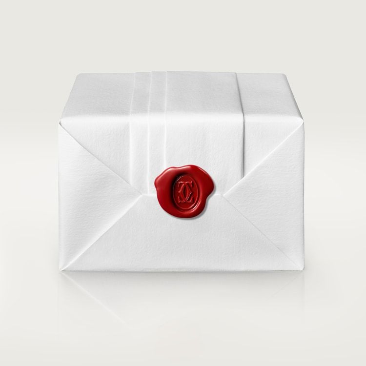 CA012 SANTOS DE CARTIER WATCH WSSA0039