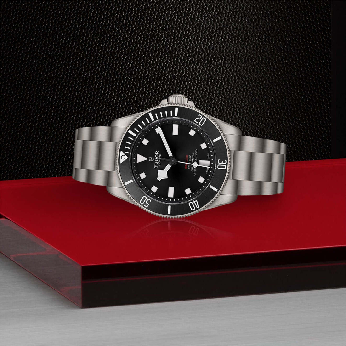 TU130 Tudor Pelagos 39