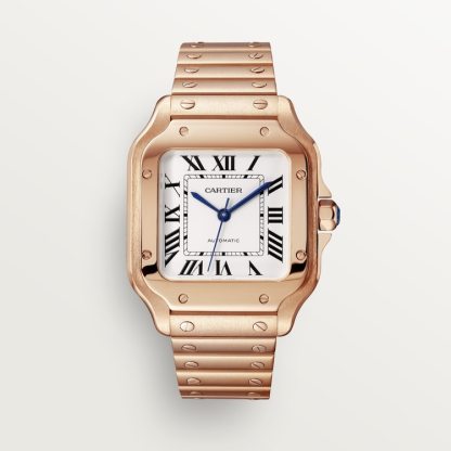 CA026 SANTOS DE CARTIER WATCH WGSA0031