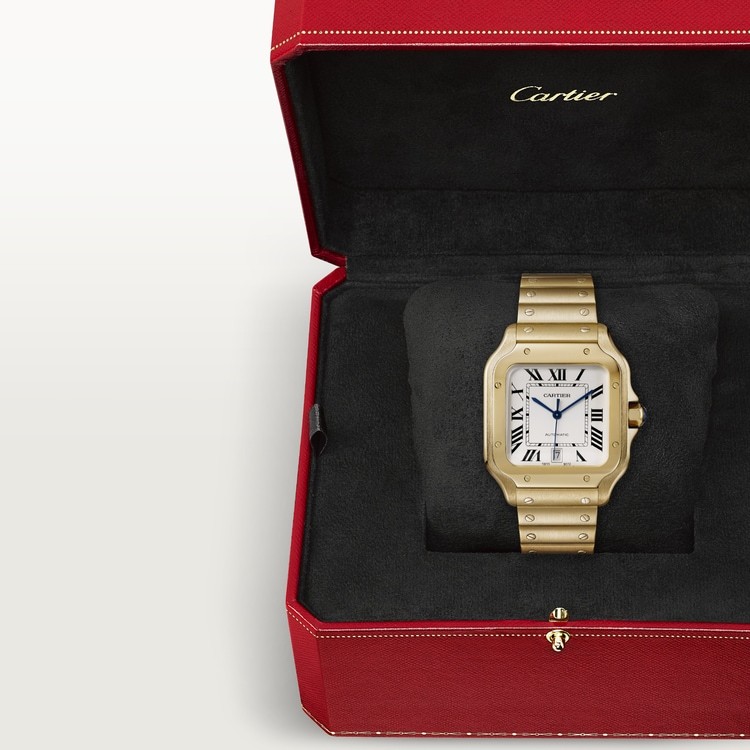 CA020 SANTOS DE CARTIER WATCH WGSA0029