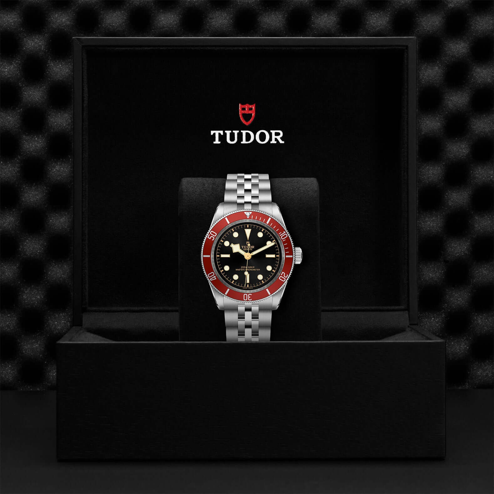 TU360 Tudor Black Bay