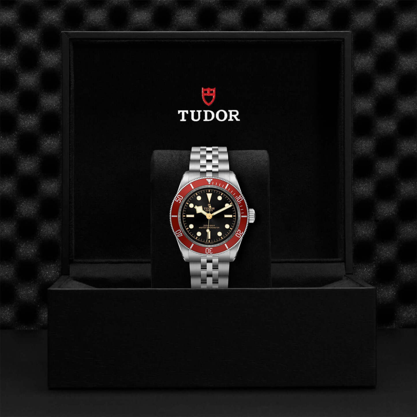 TU360 Tudor Black Bay