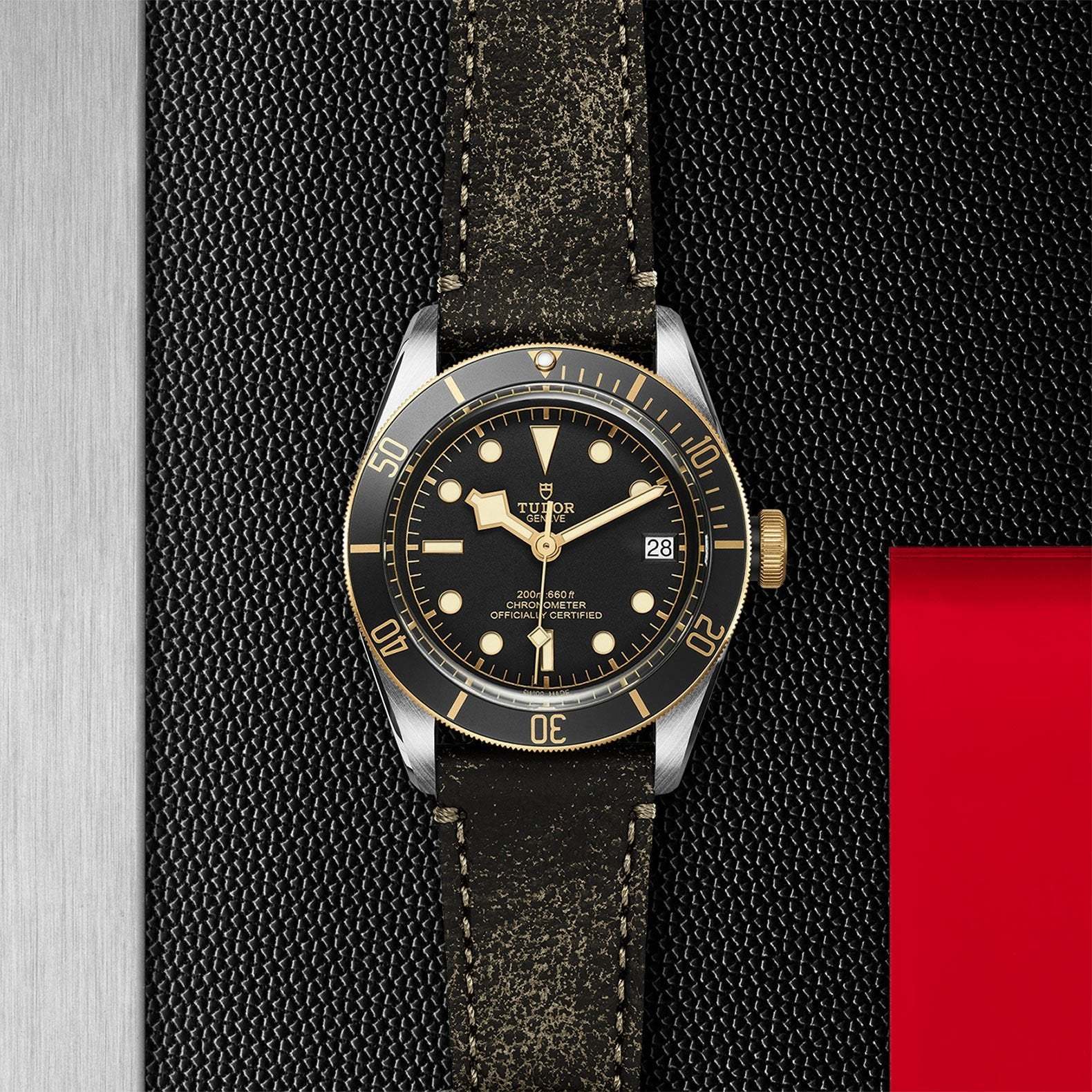 TU029 TUDOR Black Bay S&G 41mm Steel and Gold