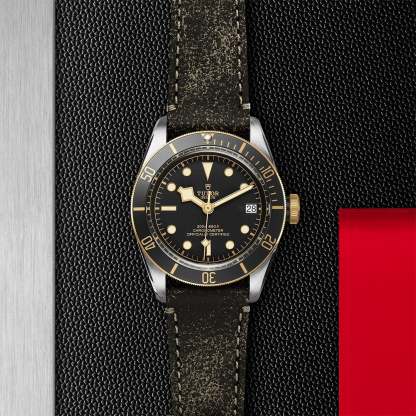 TU029 TUDOR Black Bay S&G 41mm Steel and Gold