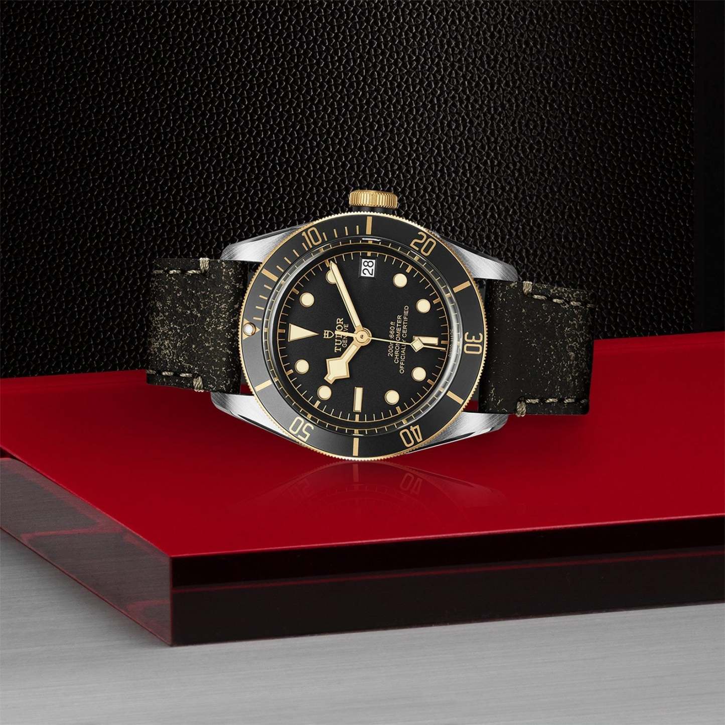 TU029 TUDOR Black Bay S&G 41mm Steel and Gold