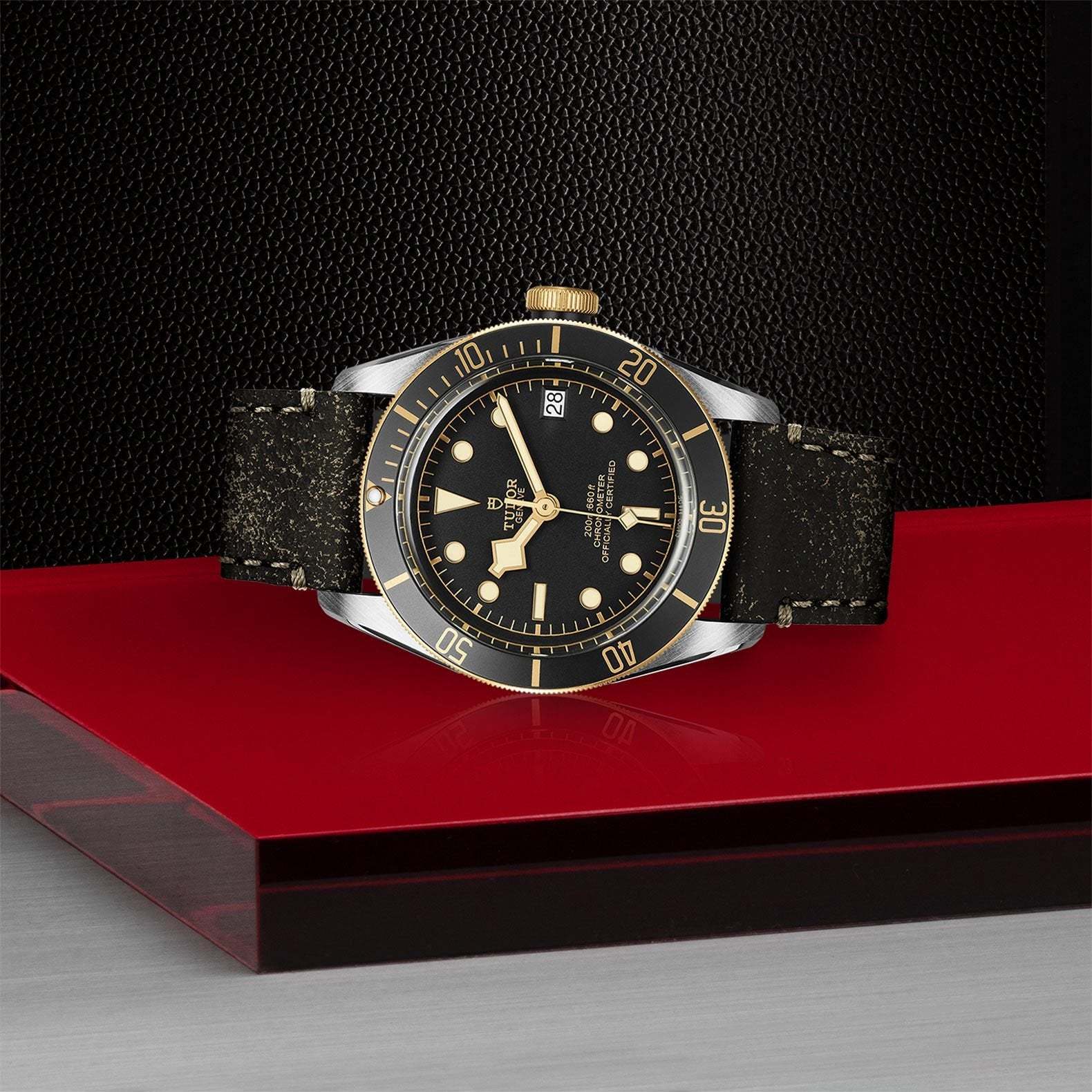 TU029 TUDOR Black Bay S&G 41mm Steel and Gold