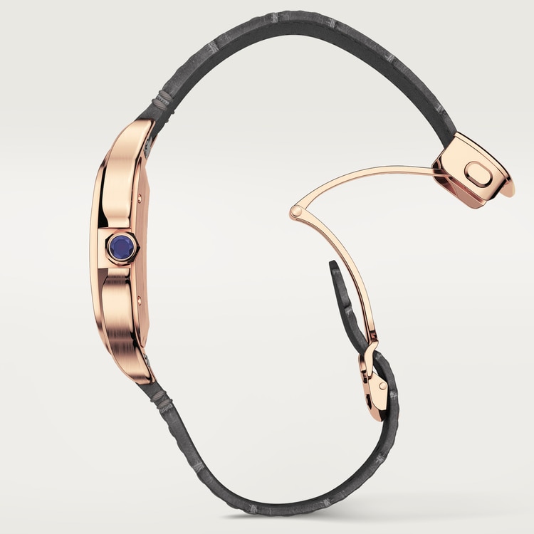 CA022 SANTOS DE CARTIER WATCH WGSA0019