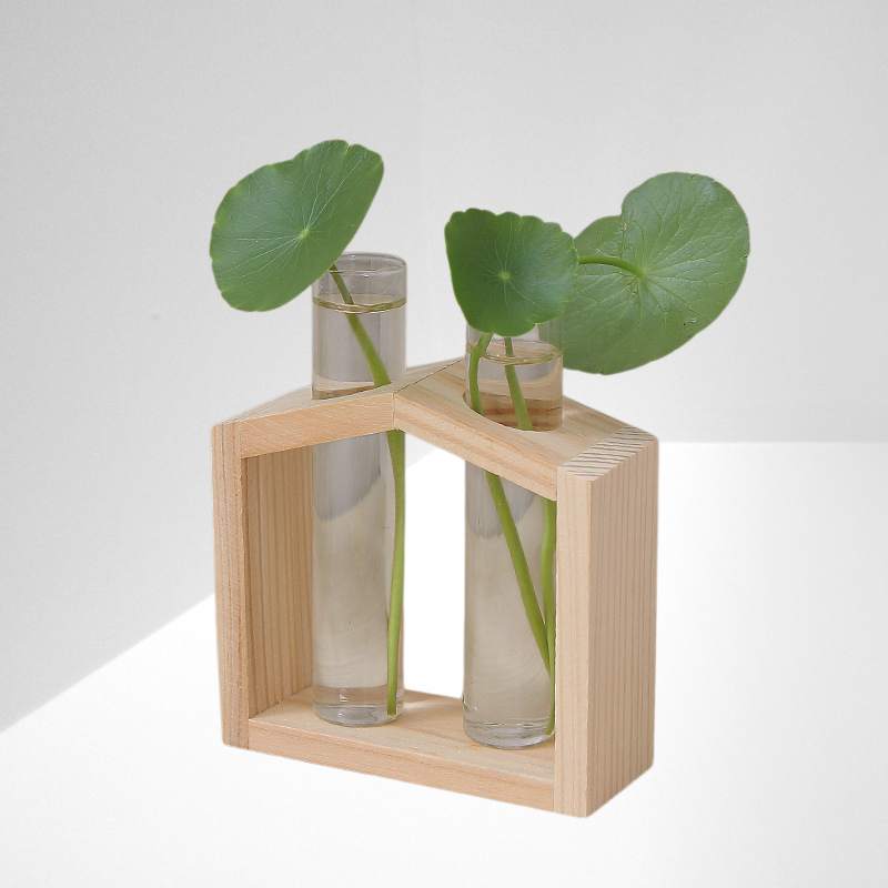 Einfache geometrische kleine Hydrokulturvase