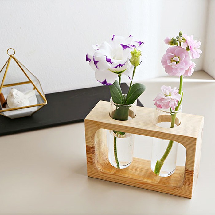 Einfache geometrische kleine Hydrokulturvase