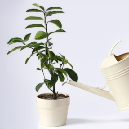 Gartenarbeit und landwirtschaft bewässerung artefakt gießkanne