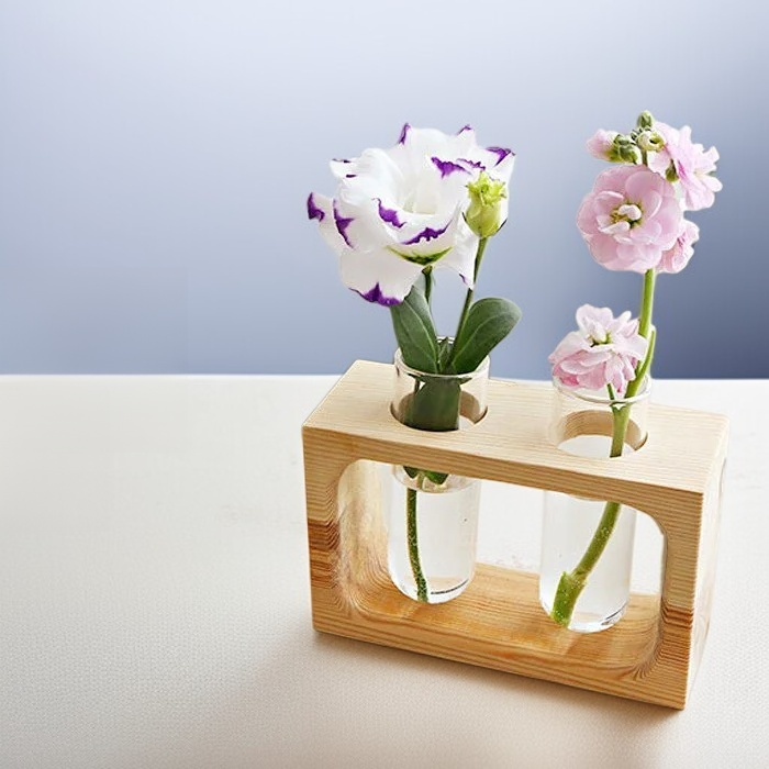 Einfache geometrische kleine Hydrokulturvase