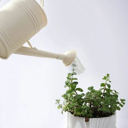 Gartenarbeit und landwirtschaft bewässerung artefakt gießkanne