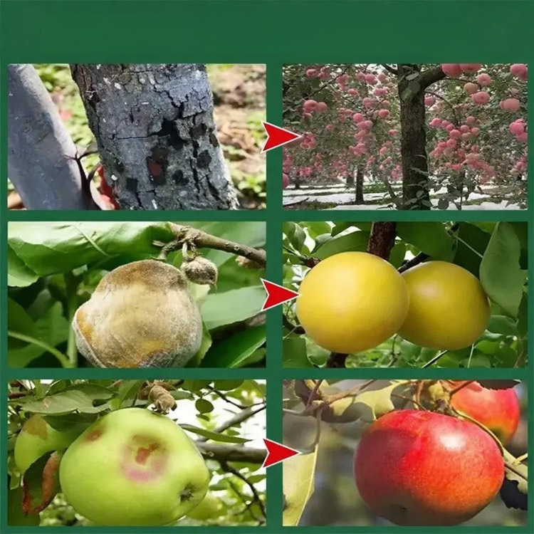 Controlled-Release Fertilizer for Flowers and Fruits