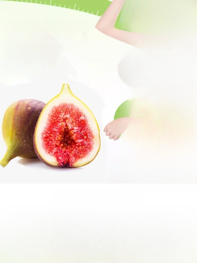 [Enjoy fresh fruit daily] Fig seedlings imported from Greece