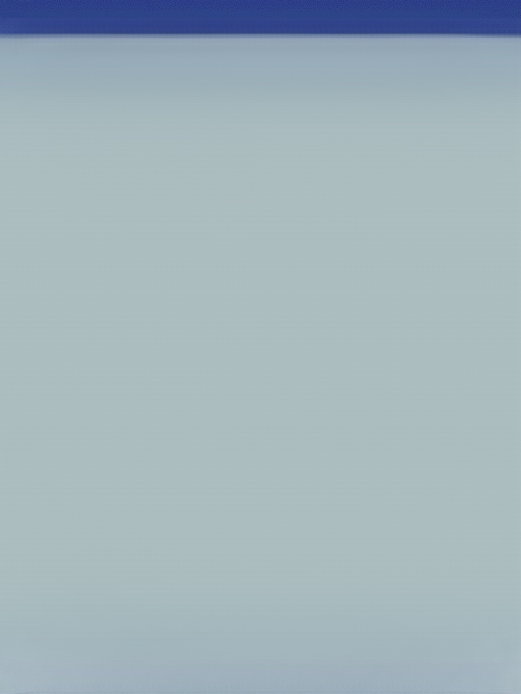 [Low-fat and high-protein] Freshly grilled and ready-to-eat large nine-section dried shrimps