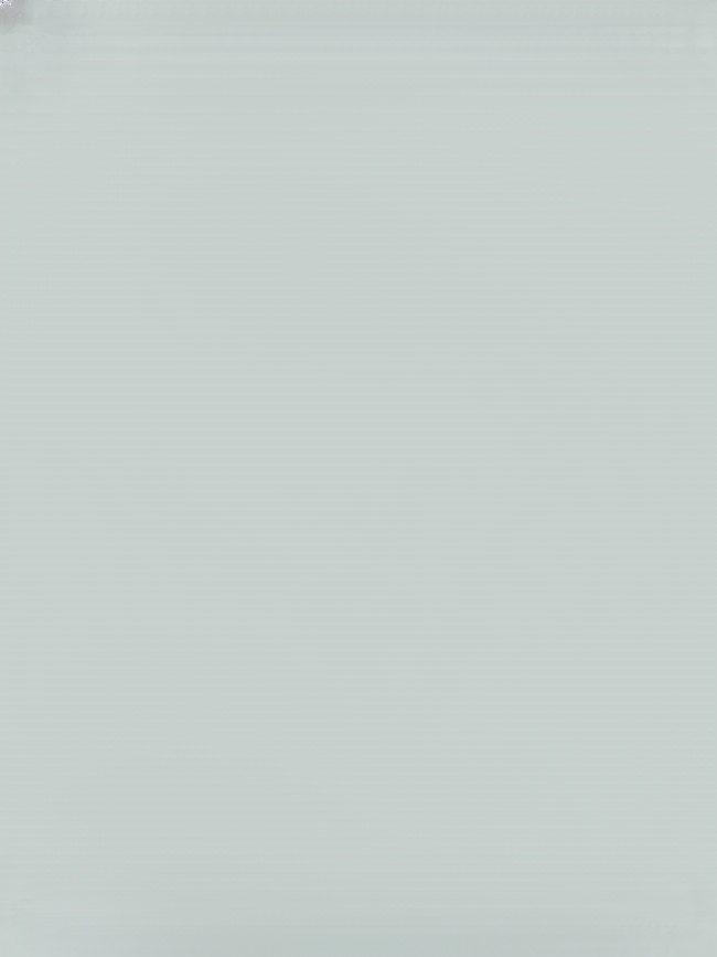 [100% Growth Guarantee] 4J XXL Mini Cherry Tomatoes | Harvest in the First Year | Perfect for Homes & Gardens | Cold-Hardy Down to -20°C | Vigorous Two-Year-Old Seedlings🍒