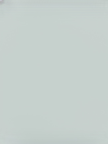 [100% Growth Guarantee] 4J XXL Mini Cherry Tomatoes | Harvest in the First Year | Perfect for Homes & Gardens | Cold-Hardy Down to -20°C | Vigorous Two-Year-Old Seedlings🍒